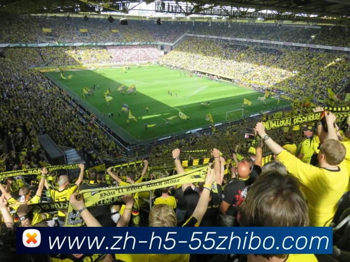 App Interface Preview