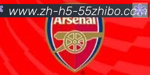 55直播合作伙伴